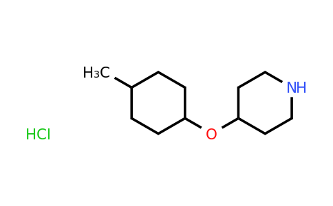 CAS 1305711-89-0 | 4-[(4-Methylcyclohexyl)oxy]piperidine hydrochloride
