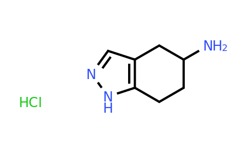 CAS 1306606-59-6 | 4,5,6,7-Tetrahydro-1H-indazol-5-amine hydrochloride