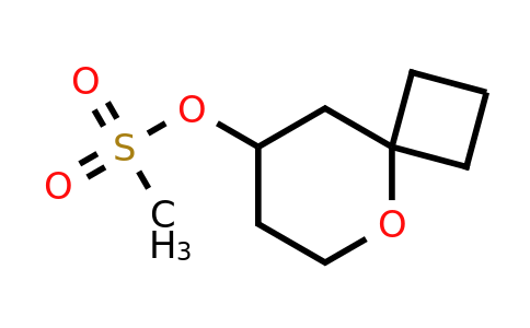 CAS 1309366-15-1 | 5-oxaspiro[3.5]nonan-8-yl methanesulfonate
