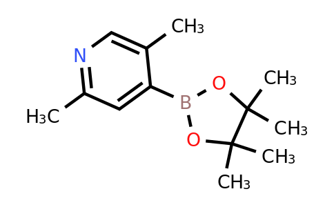 CAS 1309443-99-9 | 2,5-dimethyl-4-(4,4,5,5-tetramethyl-1,3,2-dioxaborolan-2-yl)pyridine