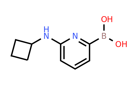 CAS 1309981-35-8 | 6-(Cyclobutylamino)pyridine-2-boronic acid