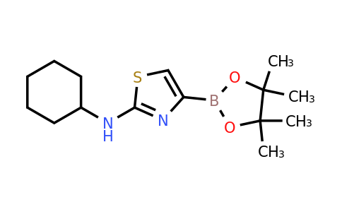 CAS 1309981-59-6 | 2-(Cyclohexylamino)thiazole-4-boronic acid pinacol ester