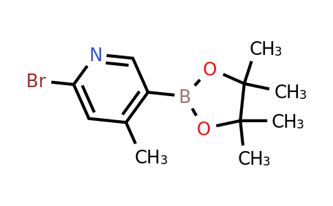 CAS 1309982-23-7 | 6-Bromo-4-methylpyridine-3-boronic acid pinacol ester