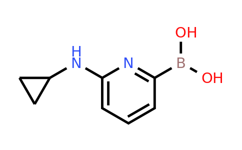 CAS 1309982-29-3 | 6-(Cyclopropylamino)pyridine-2-boronic acid