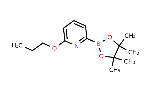 CAS 1309982-31-7 | 6-(N-Propoxy)pyridine-2-boronic acid pinacol ester