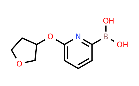 CAS 1309982-32-8 | 6-(Tetrahydro-furan-3-yloxy)pyridine-2-boronic acid