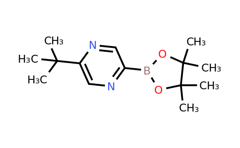 CAS 1309982-44-2 | 5-(Tert-butyl)pyrazine-2-boronic acid pinacol ester