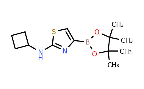 CAS 1309982-52-2 | 2-(Cyclobutylamino)thiazole-4-boronic acid pinacol ester