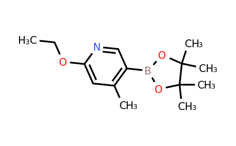 CAS 1309982-67-9 | 6-Ethoxy-4-methylpyridine-3-boronic acid pinacol ester