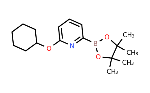 CAS 1310383-05-1 | 6-(Cyclohexyloxy)pyridine-2-boronic acid pinacol ester