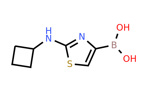 CAS 1310383-66-4 | 2-(Cyclobutylamino)thiazole-4-boronic acid