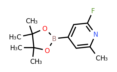 CAS 1310384-07-6 | 2-Fluoro-6-methylpyridine-4-boronic acid pinacol ester