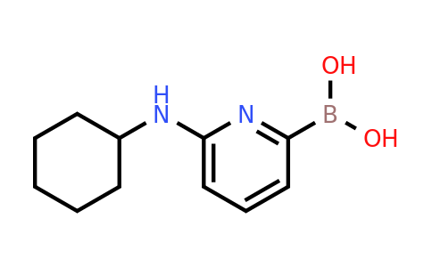CAS 1310384-86-1 | 6-(Cyclohexylamino)pyridine-2-boronic acid