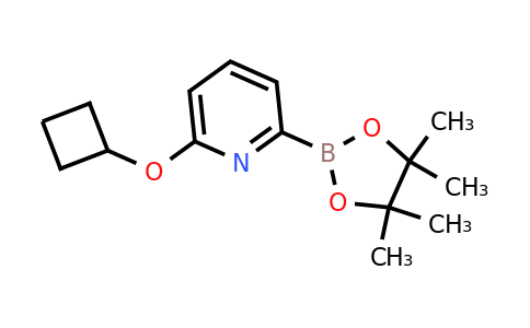 CAS 1310404-15-9 | 6-(Cyclobutoxy)pyridine-2-boronic acid pinacol ester
