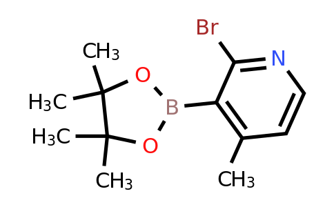 CAS 1310404-49-9 | 2-Bromo-4-methylpyridine-3-boronic acid pinacol ester