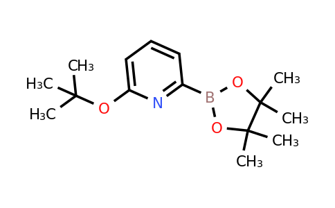 CAS 1310404-55-7 | 6-(Tert-butoxy)pyridine-2-boronic acid pinacol ester