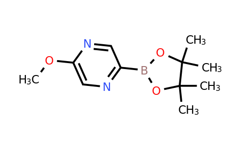 CAS 1310404-63-7 | 5-Methoxypyrazine-2-boronic acid pinacol ester