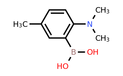 CAS 1310404-83-1 | 2-(Dimethylamino)-5-methylphenylboronic acid