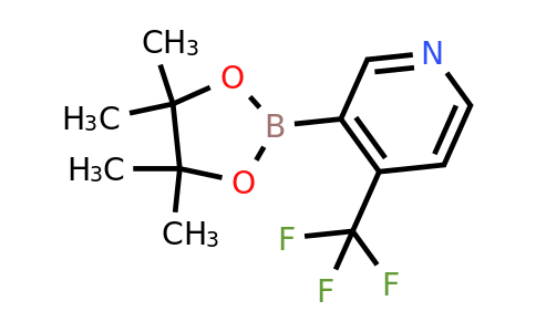 CAS 1310405-06-1 | 4-(Trifluoromethyl)pyridine-3-boronic acid pinacol ester
