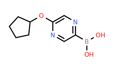 CAS 1310405-11-8 | 5-(Cyclopentoxy)pyrazine-2-boronic acid