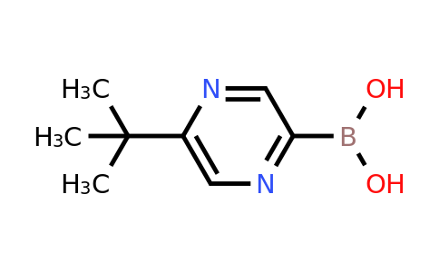 CAS 1310405-12-9 | 5-(Tert-butyl)pyrazine-2-boronic acid