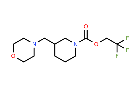 CAS 1311313-76-4 | 2,2,2-Trifluoroethyl 3-(morpholin-4-ylmethyl)piperidine-1-carboxylate