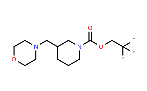 2,2,2-Trifluoroethyl 3-(morpholin-4-ylmethyl)piperidine-1-carboxylate