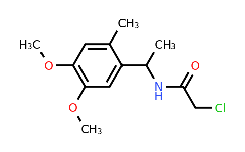 CAS 1311314-77-8 | 2-Chloro-N-[1-(4,5-dimethoxy-2-methylphenyl)ethyl]acetamide