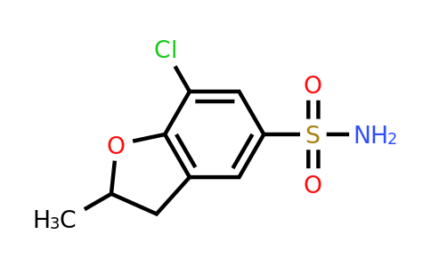 CAS 1311317-50-6 | 7-Chloro-2-methyl-2,3-dihydro-1-benzofuran-5-sulfonamide