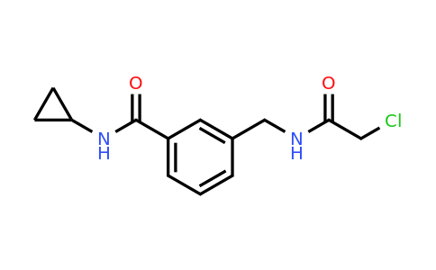 CAS 1311317-71-1 | 3-[(2-Chloroacetamido)methyl]-N-cyclopropylbenzamide