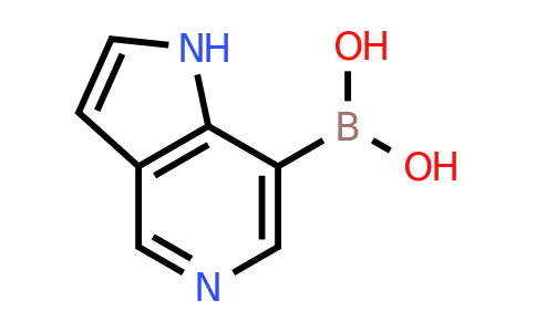 CAS 1312368-91-4 | {1H-pyrrolo[3,2-c]pyridin-7-yl}boronic acid