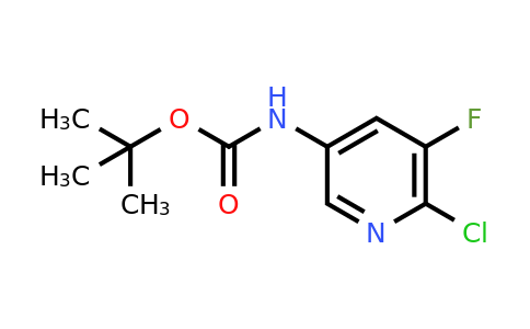 CAS 1312755-60-4 | tert-butyl N-(6-chloro-5-fluoropyridin-3-yl)carbamate