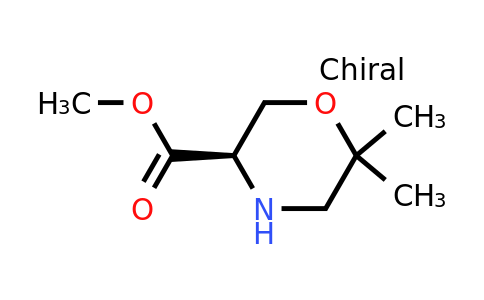 CAS 1313278-08-8 | (R)-6,6-Dimethyl-morpholine-3-carboxylic acid methyl ester