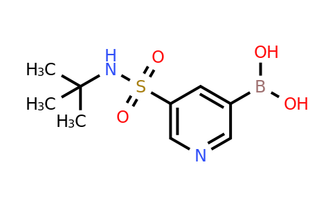CAS 1314987-50-2 | [5-(tert-butylsulfamoyl)pyridin-3-yl]boronic acid