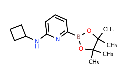 CAS 1315350-34-5 | 6-(Cyclobutylamino)pyridine-2-boronic acid pinacol ester