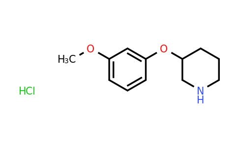 CAS 1315677-72-5 | 3-(3-Methoxyphenoxy)piperidine hydrochloride