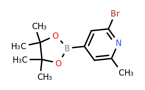 CAS 1321518-06-2 | 2-Bromo-6-methyl-4-(4,4,5,5-tetramethyl-1,3,2-dioxaborolan-2-YL)pyridine