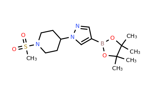 CAS 1326714-13-9 | 1-methanesulfonyl-4-[4-(tetramethyl-1,3,2-dioxaborolan-2-yl)-1H-pyrazol-1-yl]piperidine