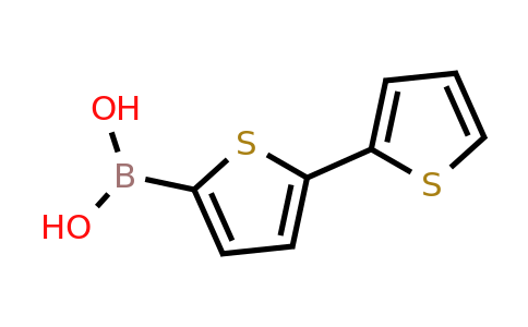 2,2'-Bithiophene-5-boronic acid