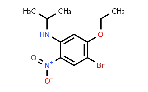 CAS 1330750-39-4 | 4-Bromo-5-ethoxy-N-isopropyl-2-nitroaniline
