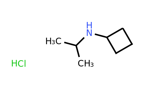 CAS 1333772-81-8 | N-(propan-2-yl)cyclobutanamine hydrochloride