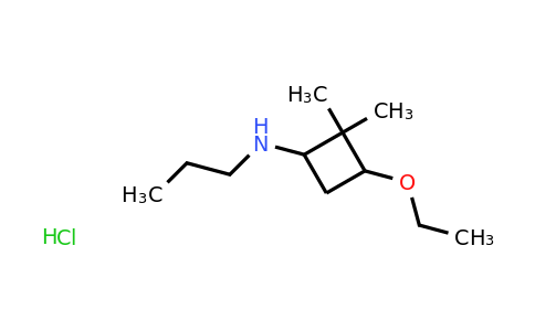 CAS 1333948-29-0 | 3-ethoxy-2,2-dimethyl-N-propylcyclobutan-1-amine hydrochloride