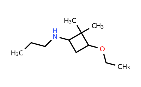 CAS 1334103-29-5 | 3-ethoxy-2,2-dimethyl-N-propylcyclobutan-1-amine