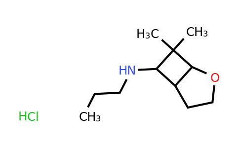 CAS 1334148-19-4 | 7,7-dimethyl-N-propyl-2-oxabicyclo[3.2.0]heptan-6-amine hydrochloride