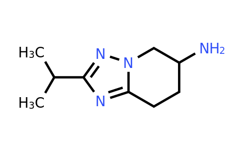 CAS 1334148-97-8 | 2-(Propan-2-yl)-5H,6H,7H,8H-[1,2,4]triazolo[1,5-a]pyridin-6-amine