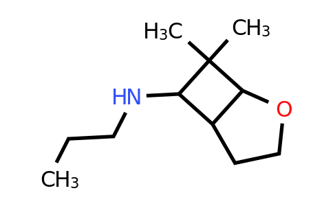 CAS 1334203-59-6 | 7,7-dimethyl-N-propyl-2-oxabicyclo[3.2.0]heptan-6-amine
