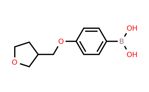 CAS 1334399-57-3 | {4-[(oxolan-3-yl)methoxy]phenyl}boronic acid