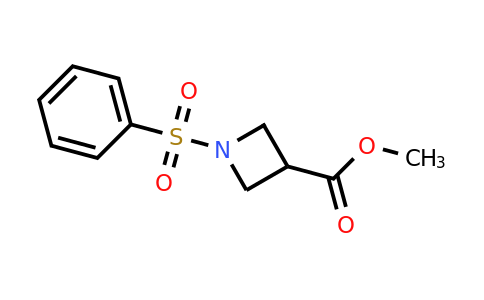 CAS 1334499-99-8 | Methyl 1-(phenylsulfonyl)azetidine-3-carboxylate