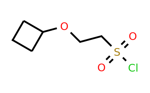 CAS 1339075-15-8 | 2-cyclobutoxyethane-1-sulfonyl chloride
