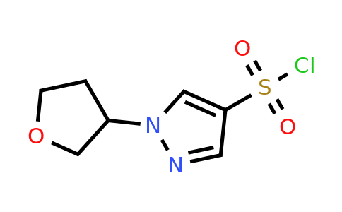 CAS 1339213-79-4 | 1-(oxolan-3-yl)-1H-pyrazole-4-sulfonyl chloride